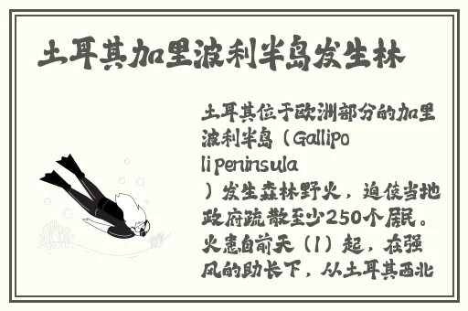 二人室内剧烈拔萝卜
